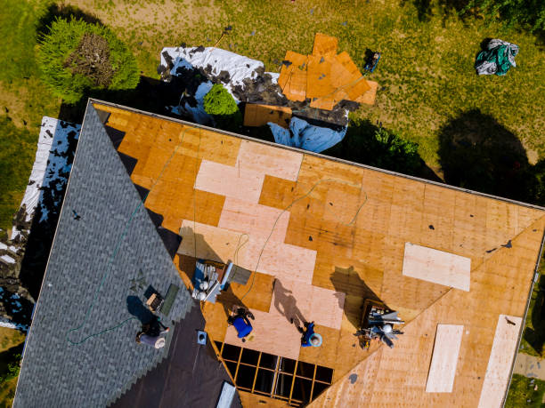 Best Storm Damage Roof Repair  in Bell, CA